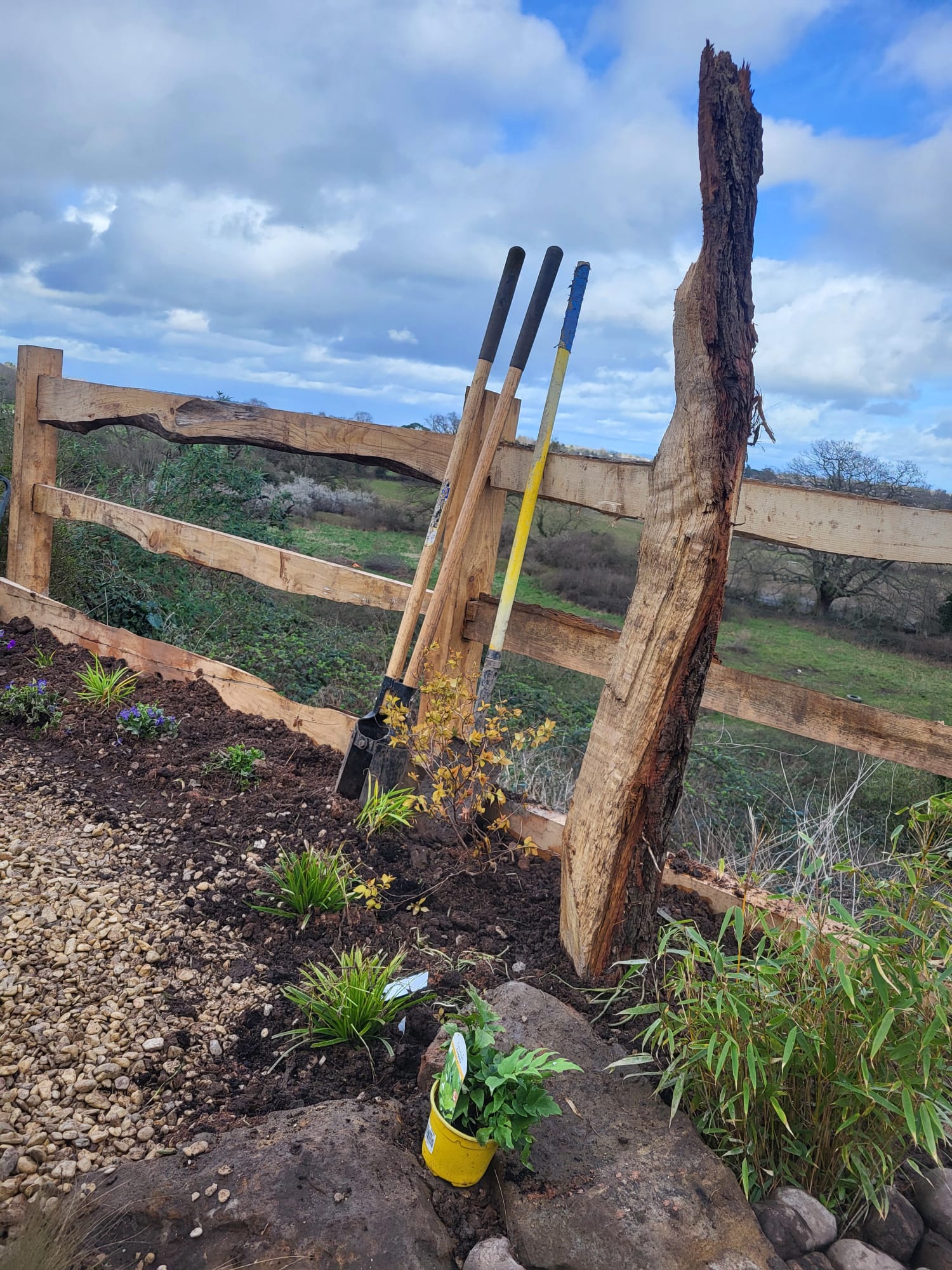 Patios Project Cover